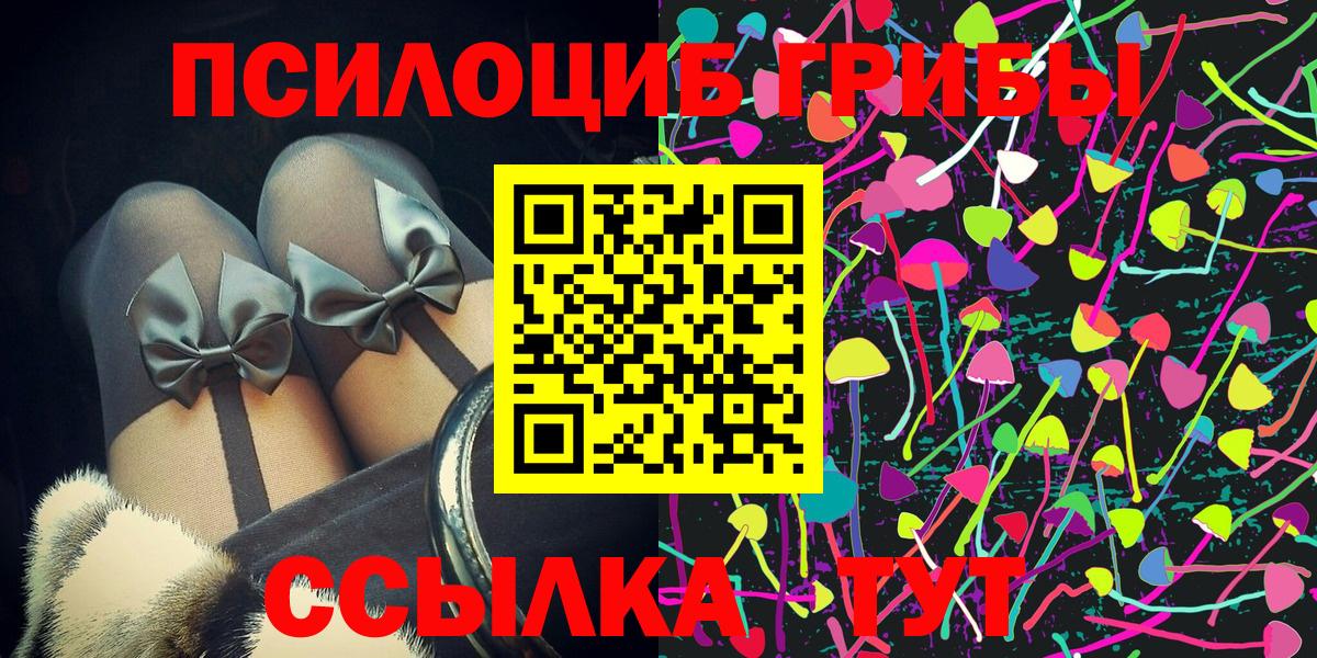 Дубна  Галлюциногенные грибы Psilocybine cubensis  Вход с VPN  Псилоцибиновые грибы мухоморы 