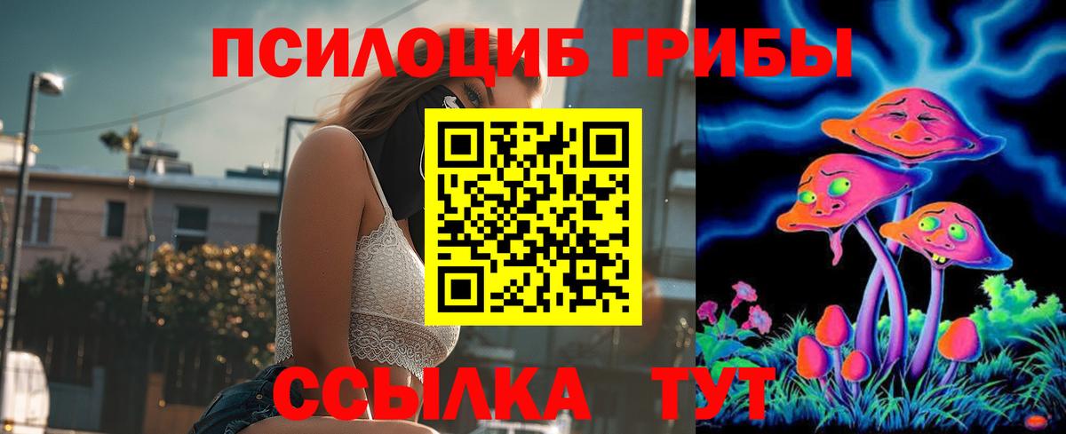 Галлюциногенные грибы прущие грибы Дубна